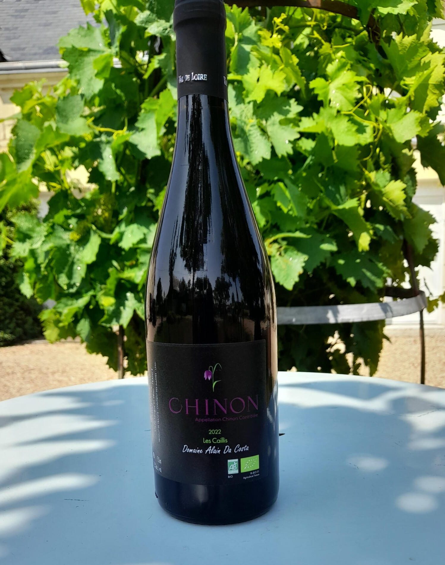 Vin de Chinon Rouge
